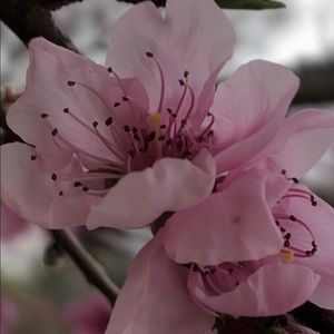 Meet your Posher, Kassidy